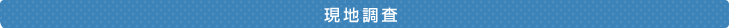 現
地調査